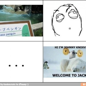 Jackass penguin