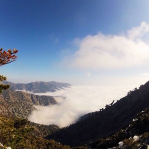 Mt. Baldy