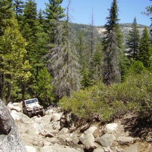 Rubicon 042