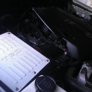 TRD Intake