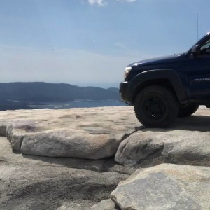shaver_taco