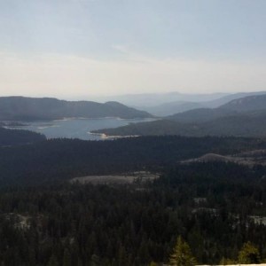 shaver_view