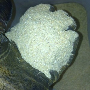 The start of ethanol.