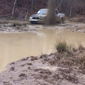 Muddin