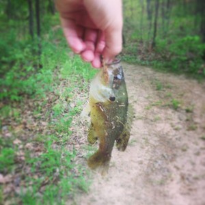 My one and only catch for the day... Haha