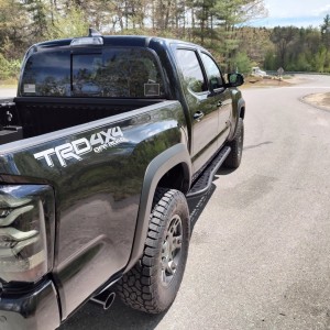 Tacoma 99