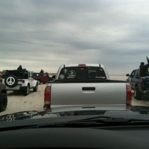 Spotted anyone?
