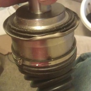 IMAG0550