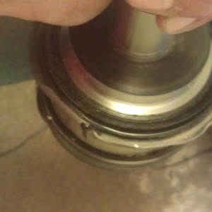 IMAG0551