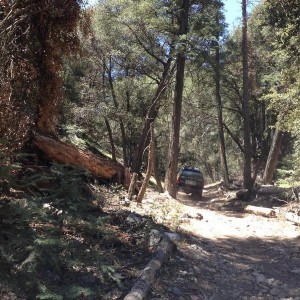 Frazier Park