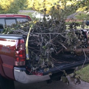 All loaded ready for trip one to dump tree parts in the morning. Sent from 