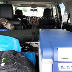Road trip