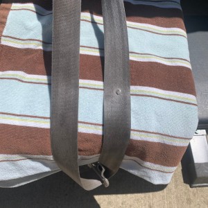 20220528 - Washing Seat Belt Before