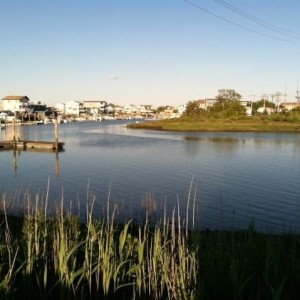 Wind finally laid down a little.