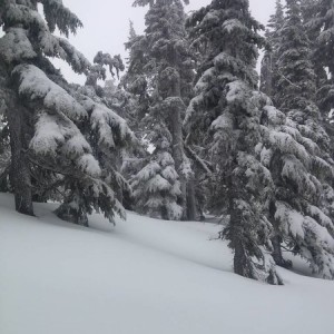 Snow