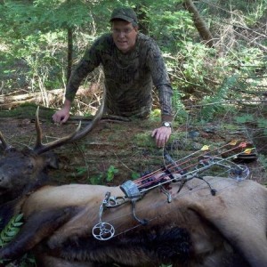 My 2012 Roosevelt Elk