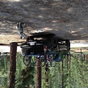 camping