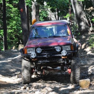 Dickey_Bell_crawling