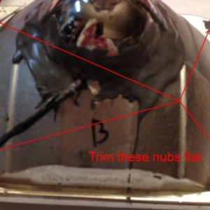 Nubs