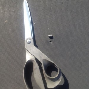.22 bullet
