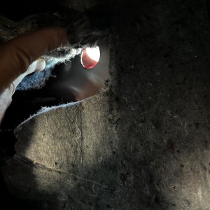 Firewall hole