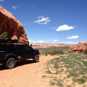 Picture frame arch trail I