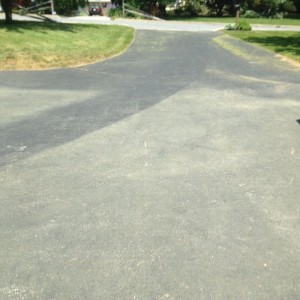 Got pollen?