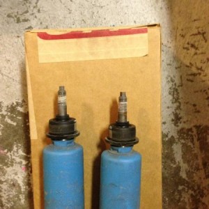 Rear shocks