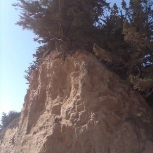 IMG00356-20130602-1603