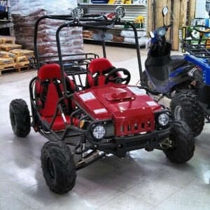 Wouldn't it be badass? It has a 120cc motor. How fast would it go with
