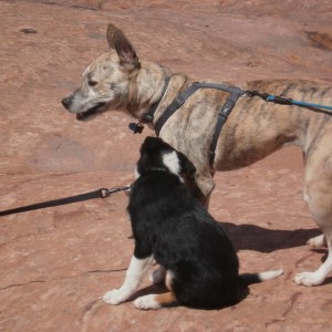 2013 Moab Trip