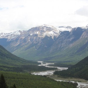 goldenbc