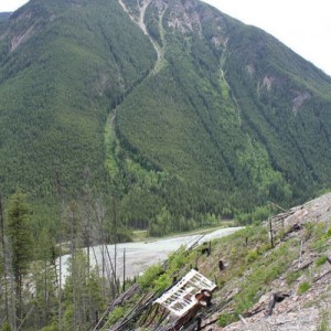 goldenbc