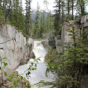 goldenbc
