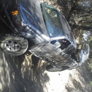 Cleghorn