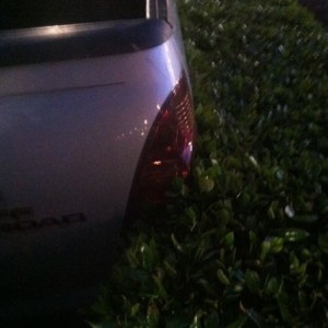 :crapstorm: from last week at the movies. Mall crawling the right way.