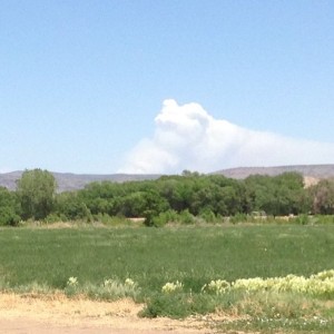 Working at the ranch today, new fire in Pecos wilderness blowing up!