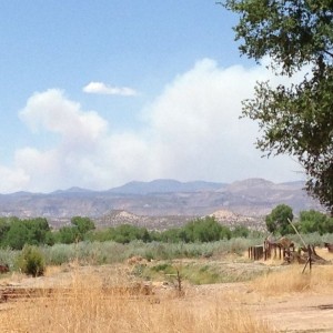Old fire, Thompson ridge fire, 25,000 acres blowing up again today. Majorit