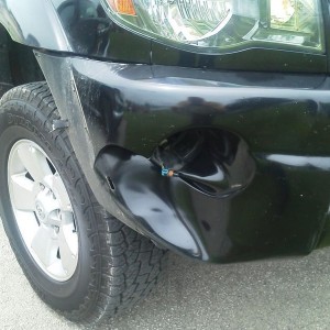 Deer damage