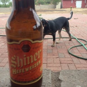First rain in over two months, time to sit on the patio