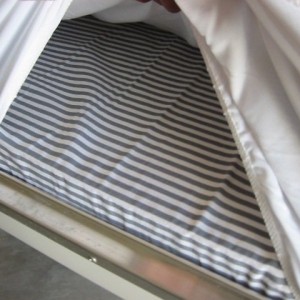 Tent_Orig_Matt