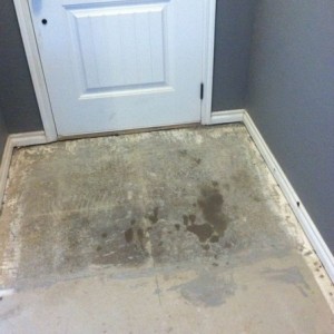 Much better...time to pull baseboards...