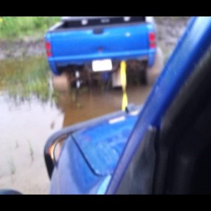 Toyota to the rescue
