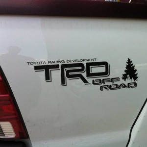 PNW Seattle Decal