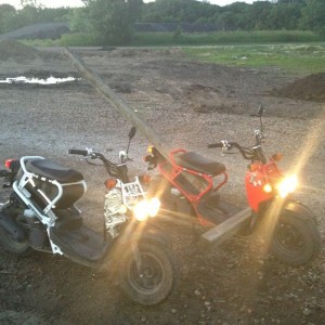 Out for a cruise.
