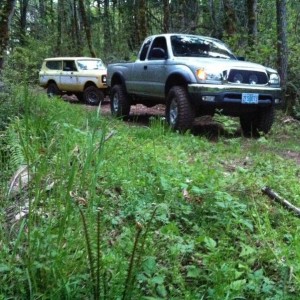 In the woods with the scout