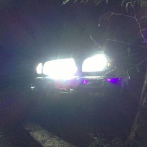 HIDs
