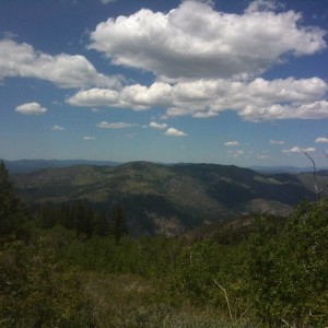 IMG_079812