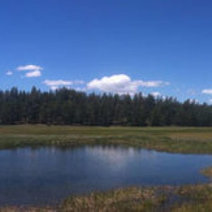 pond_panorama