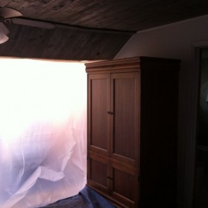 View from the family rm.